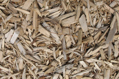biomass boilers Nibon
