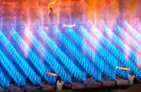 Nibon gas fired boilers